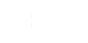 ALPHA FORCE RANGER Logo